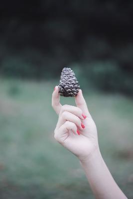 大战尼姑美国版